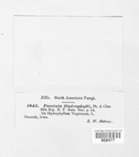 Image Associated With the Occurence